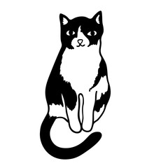 cat in doodle style.template for poster advertising print icon sticker design.