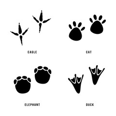 Set of animal footprints. Black silhouettes of paws animal feet or footprints. Collection contains four animals eagle, cat, elephant and duck. Minimal vector illustration isolated on white background