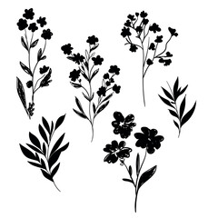 Hand Drawn Flower isolated white background design elements ink Vector illustration - obrazy, fototapety, plakaty