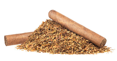 Pile of dried tobacco leaves and brown cigars isolated on a white background. Luxury handmade cigar.