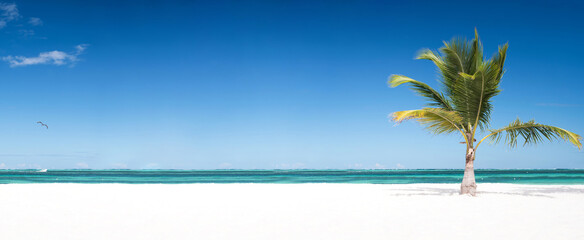 Coconut palm trees on tropical sandy shore. Caribbean destinations. Travel on the beach