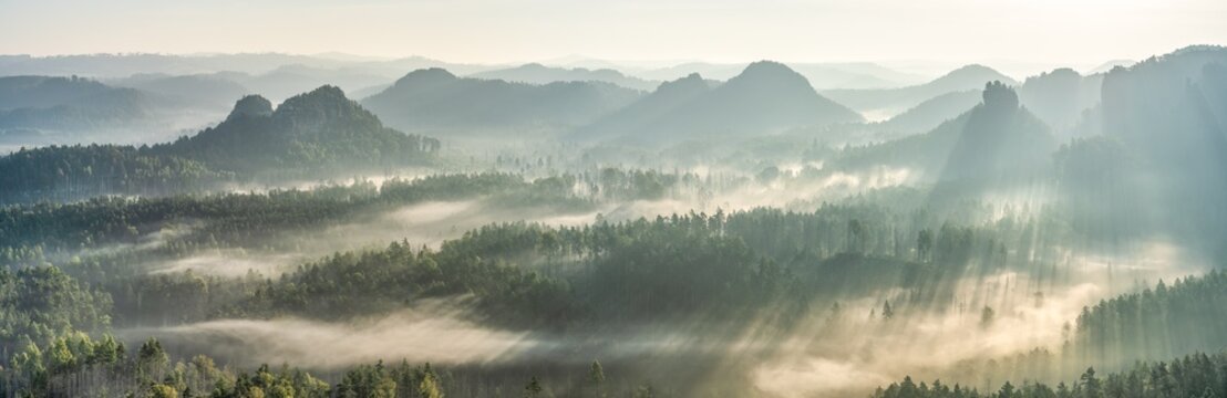 Fototapeta Morning fog over the Elbe Sandstone Mountains in Saxon Switzerland, Saxony, Germany