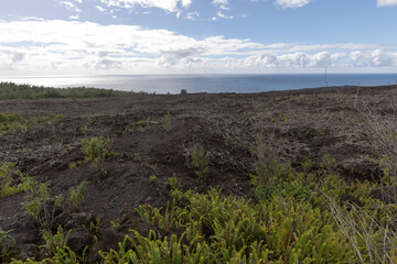 Fototapeta na wymiar A landscape of volcanic land in La Reunion