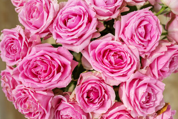 Fototapeta premium Bouquet of flowers roses. Background for the postcard. Valentines day