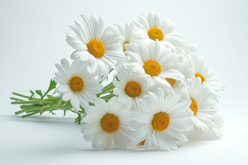 Fototapeta na wymiar Daisy flower bouquet in hyperrealism style on white isolated background.