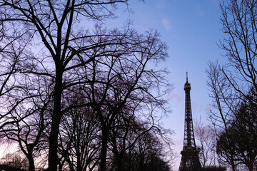 Sunset in Paris, simple image with a background of the silhouette of tree branches in winter.