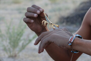 San in Botswana with a Scorpion