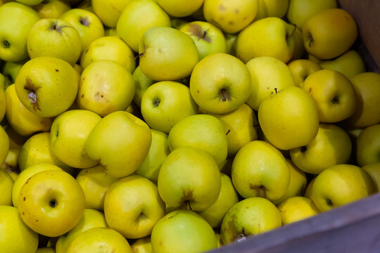 Image of fresh apples on the counter in supermarket, nobody