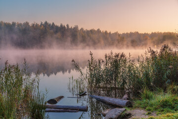 foggy lake landscape - 705275350
