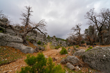 Majestic view of valley with beautiful rock formations on a autumn day. Adamkayalar, Selge, Manavgat, Antalya, Turkey.
