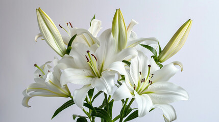 A bouquet of lilies against a white backdrop is a simple yet elegant composition that evokes a sense of purity and tranquility. ai generated.