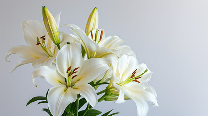 Fototapeta na wymiar A bouquet of lilies against a white backdrop is a simple yet elegant composition that evokes a sense of purity and tranquility. ai generated.