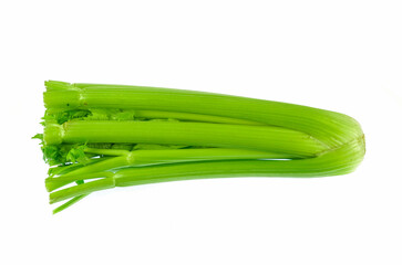 fresh celery isolated on white background