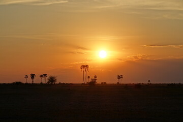 Sunset after a day of Safari in Makgadikgadi Salt Pan, Botswana