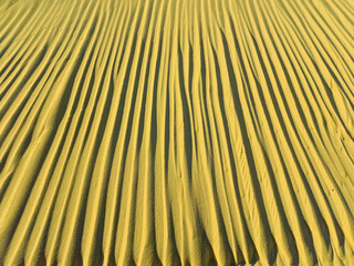 abstract relief rough gritty yellow surface of background texture, sand desert