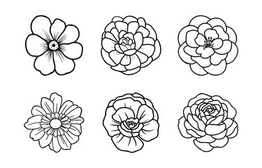 Hand drawn simple flower illustration
