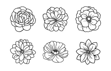 Hand drawn simple flower illustration