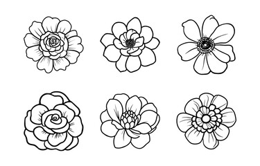 Hand drawn simple flower illustration