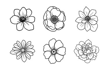 Hand drawn simple flower illustration