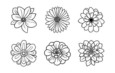 Hand drawn simple flower illustration