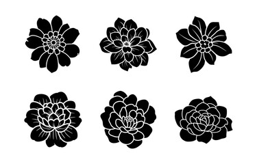 Hand drawn simple flower illustration