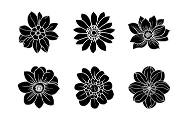 Hand drawn simple flower illustration