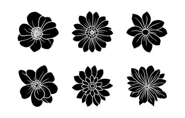 Hand drawn simple flower illustration