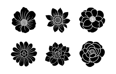 Hand drawn simple flower illustration