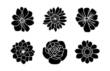 Hand drawn simple flower illustration
