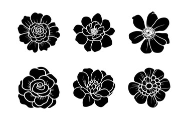 Hand drawn simple flower illustration