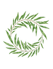 Laurel wreath with two branches. Watercolor botanical painting. Green branches isolated on transparent background. Watercolor coat of arms with branches. Decoration elements.
