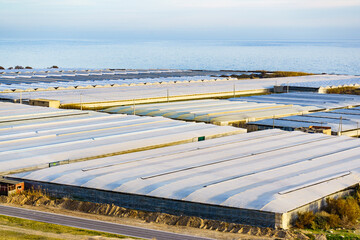 Many plastic greenhouses in Almeria, Spain. - obrazy, fototapety, plakaty