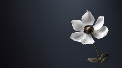 Obraz premium Holiday party background, New Year, birthday, celebration, Christmas background with blank copy space