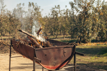 Outdoor fire pit with burning branches in daylight