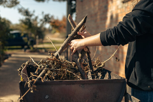 Person adding branches to a wheelbarrow for yard cleanup