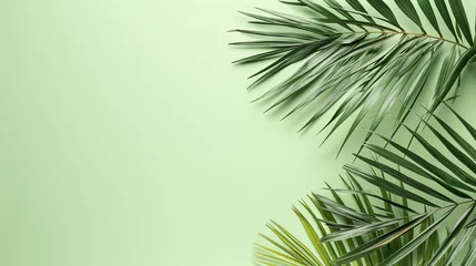 Fotobehang Palm tree leaves on a green background © Fabiojr