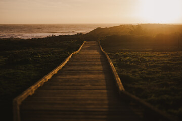 Fototapeta premium Pathway at Sunset