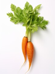 Two orange carrots with green leaves on a white background