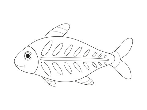 X-ray fish vector illustration. Sea animal coloring book or page for children.