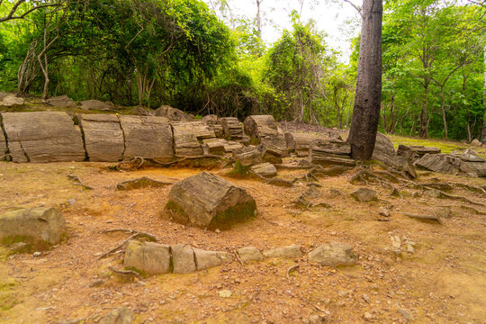 Petrified forest of Puyango, located in Ecuador