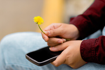 Close-up of a woman's hands delicately holding a yellow flower while sitting on a park bench in spring