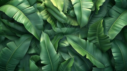 Green ribbed plantain, plant, beautiful floral background, 3d render