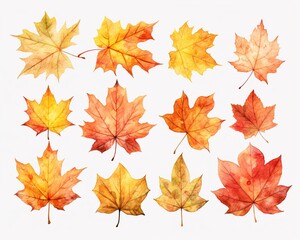 Naklejka na ściany i meble Watercolor Autumn Leaves