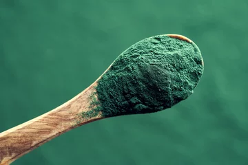 Poster Spirulina powder on a spoon, top view. Nutritional supplement. © Madeleine Steinbach