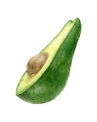 Avocado. Watercolor illustration of a half  green avocado. Food illustration. Realistic botanical illustration on transparent background.