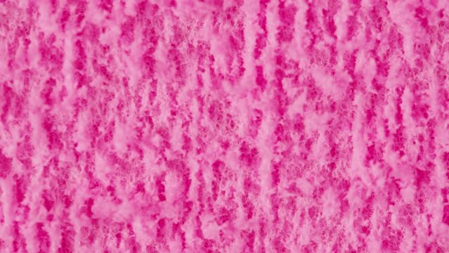 Rose pink red sponge background close-up macro, girl or woman make a make up for Christmas holiday seasonal wallpaper decoration, Valentines greeting and wedding invitation.
