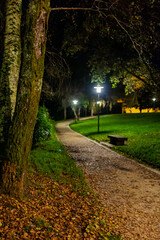 Evening's Whisper: The Park's Veiled Path