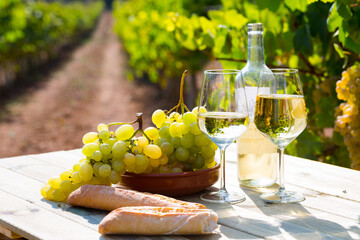 Still life with white wine, grapes and fresh bread on table in vineyards ..