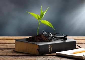 Green seed growing in soil on open Bible Book - obrazy, fototapety, plakaty