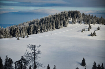 mountains in winter, Beskids, Polish mountains, trekking